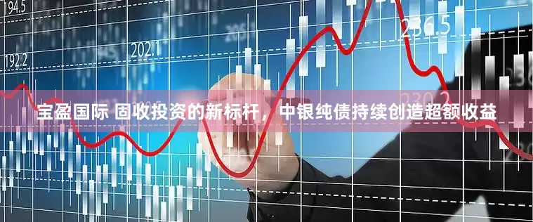 宝盈国际 固收投资的新标杆，中银纯债持续创造超额收益