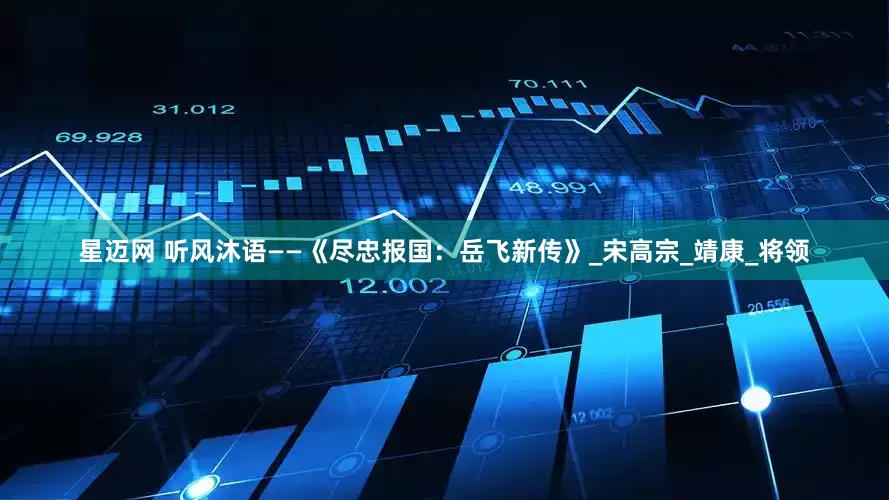 星迈网 听风沐语——《尽忠报国：岳飞新传》_宋高宗_靖康_将领