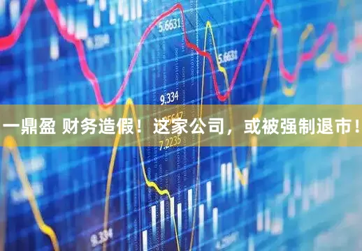 一鼎盈 财务造假！这家公司，或被强制退市！