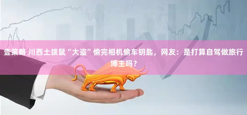 壹策略 川西土拨鼠“大盗”偷完相机偷车钥匙，网友：是打算自驾做旅行博主吗？