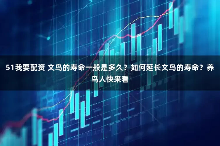 51我要配资 文鸟的寿命一般是多久？如何延长文鸟的寿命？养鸟人快来看