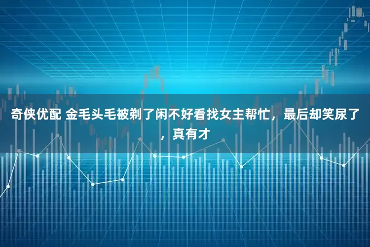 奇侠优配 金毛头毛被剃了闲不好看找女主帮忙，最后却笑尿了，真有才